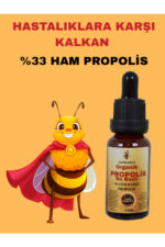 YAŞ POLEN(300GR)+ARI SÜTÜ(40GR)+PROPOLİS SU BAZLI(20ML) EFSANE PAKET - Görsel 2