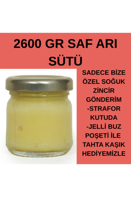 MUHTEŞEM FIRSAT (2600GR) SAF ARI SÜTÜ STRAFOR KUTUDA BUZ POŞETİ İLE GÖNDERİM+TAHTA KAŞIK