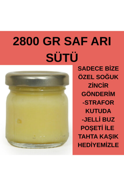 MUHTEŞEM FIRSAT – Saf Arı Sütü 2800 gr Strafor Kutuda, Buz Poşeti ile Soğuk Zincir Gönderim