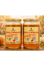 Ballı Polen ve Arı Sütü 2*700GR – %100 Doğal Arı Ürünleri Karışımı | Energy Booster, , Royal Jelly & Bee Pollen Mix